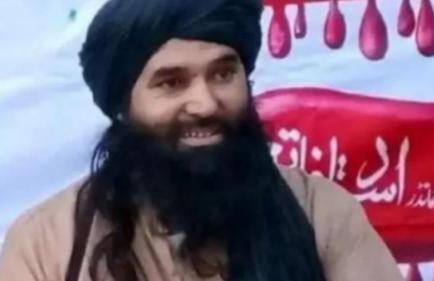 巴基斯坦媒体30日援引巴高级官员的讲话报道，今天早上，巴军在开普省巴焦尔县击毙了