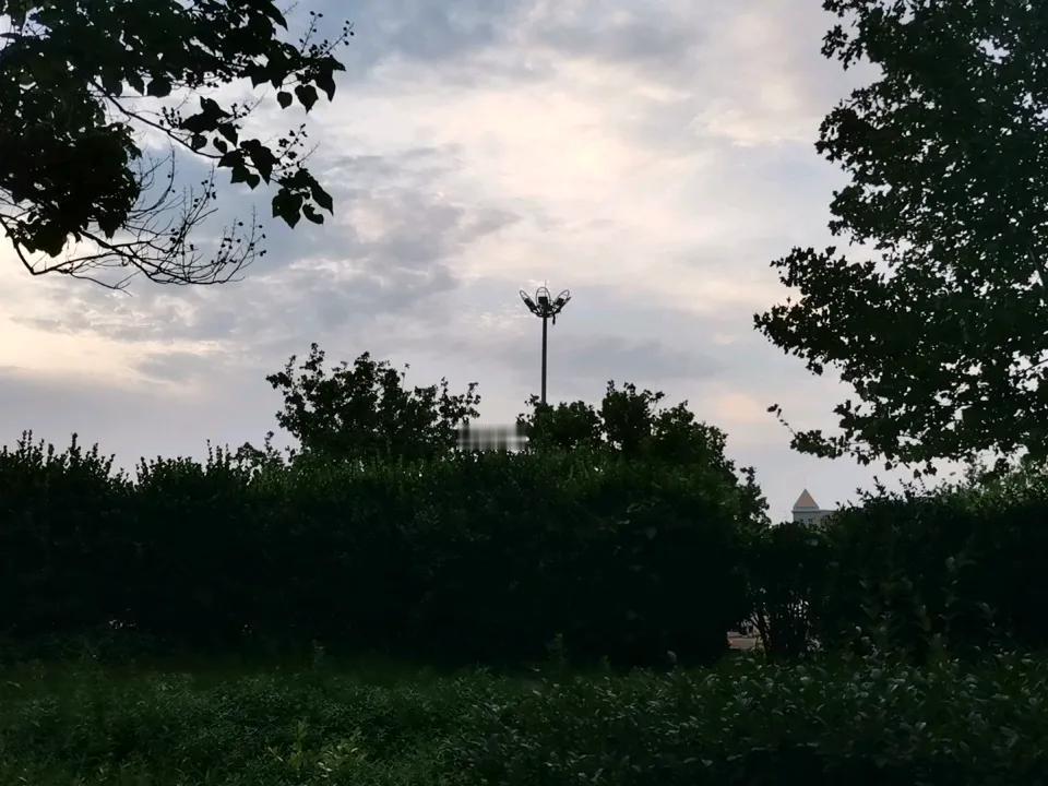 闲来无事，公园漫步。
天气很热，园区舒服多了。
公园治愈系美景 绿树间漫步影像 