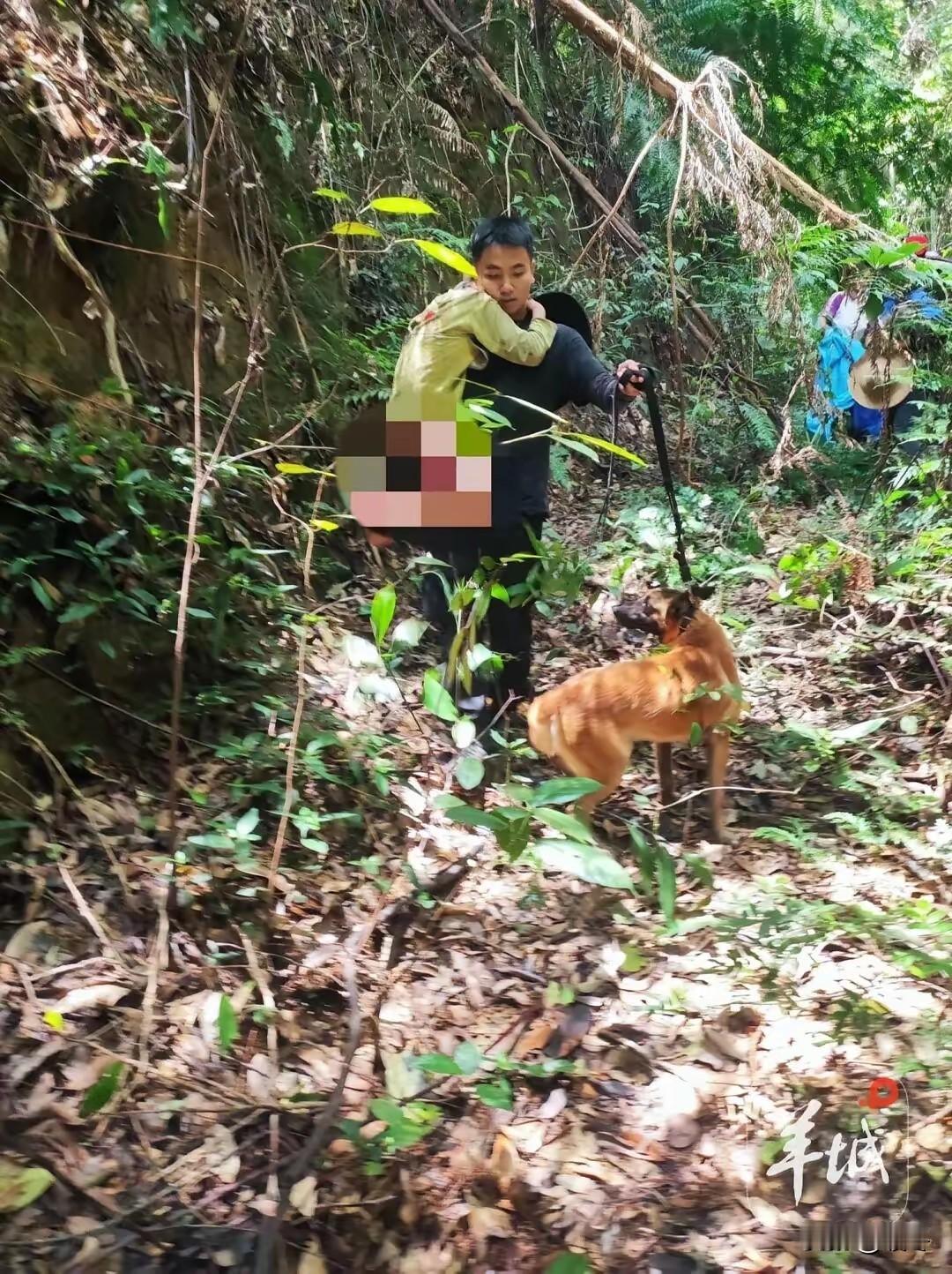 一声惊呼响彻肇庆深山。
失联十三天的孩子生还了。
上千搜救人员瞬间松下心。
 