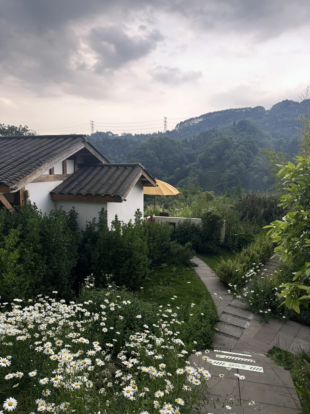 藏在成都周边茶山，陶渊明笔下的归园田居