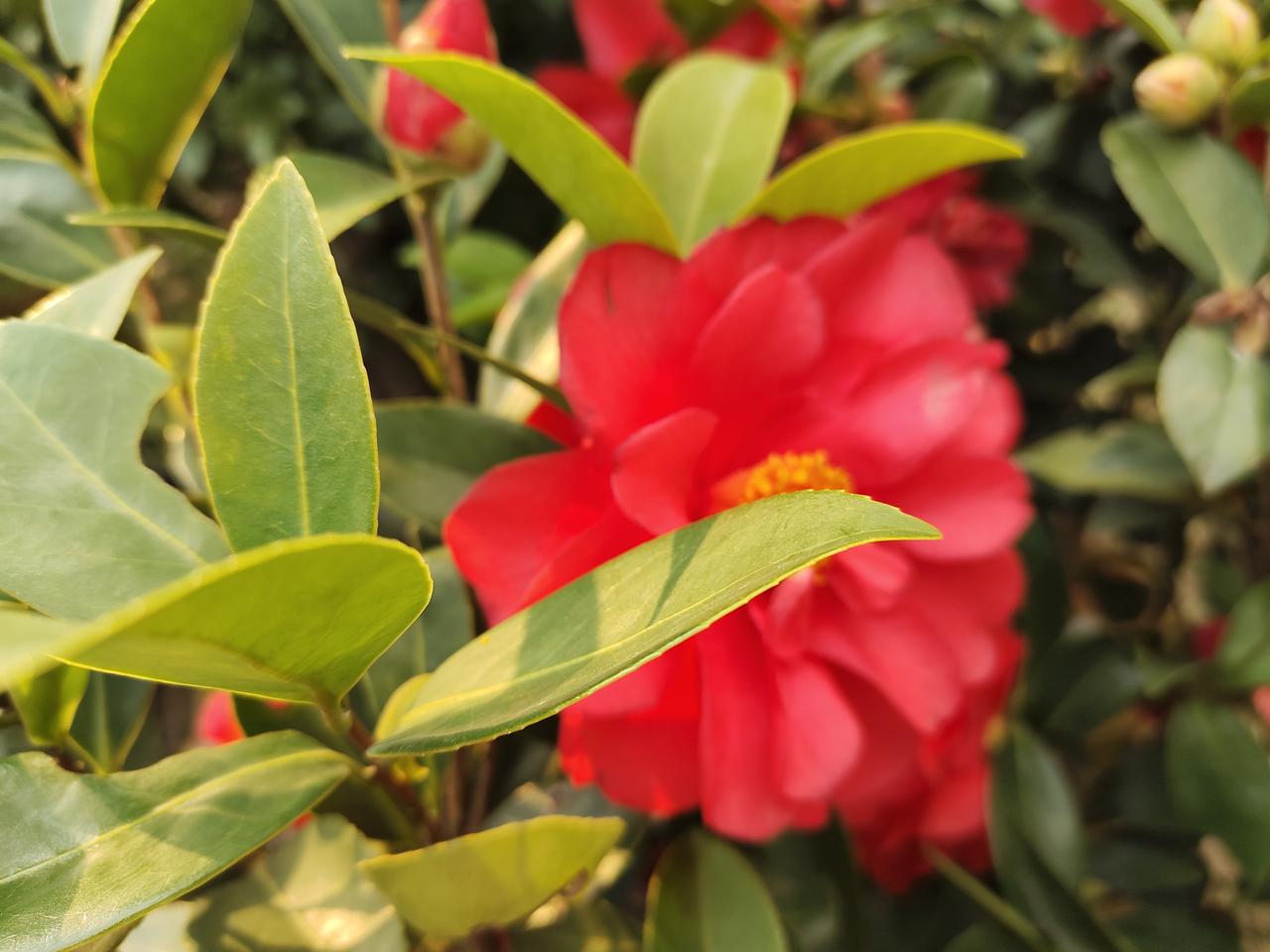 给人贩子判死刑，你支持吗？评论区吵翻了！
 
刷到被拐家庭寻亲的新闻，眼泪就止不