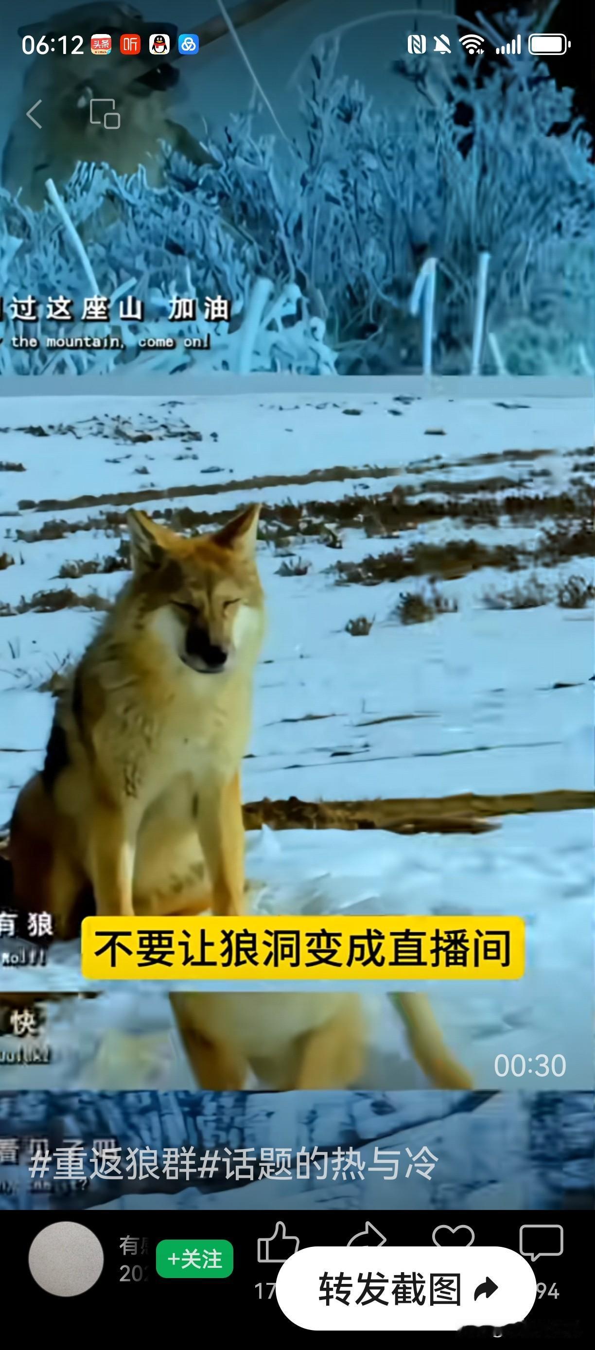 因格林结缘，李薇漪和亦风也因为《重返狼群》大火，但他们的故事有美好的开头，却没有