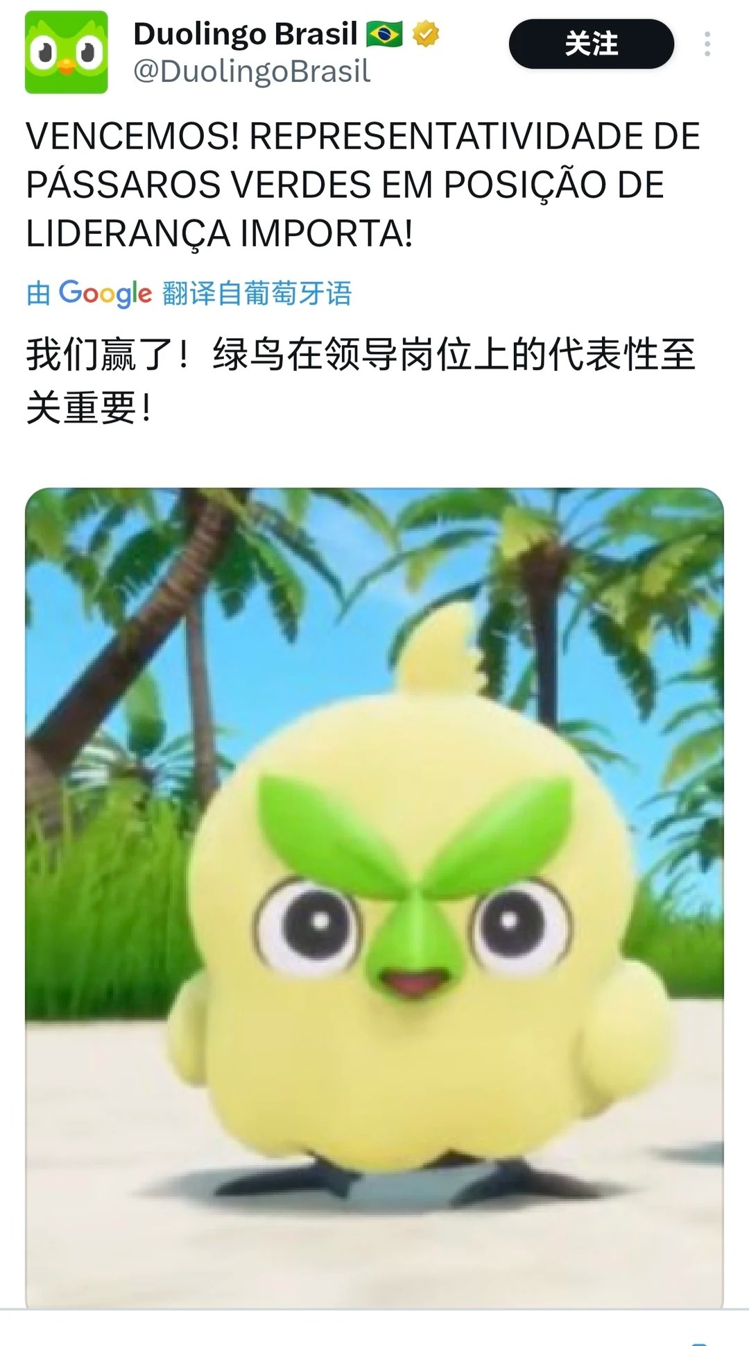 宝可梦风波的草系御三家，真的很像多邻国那只鸟