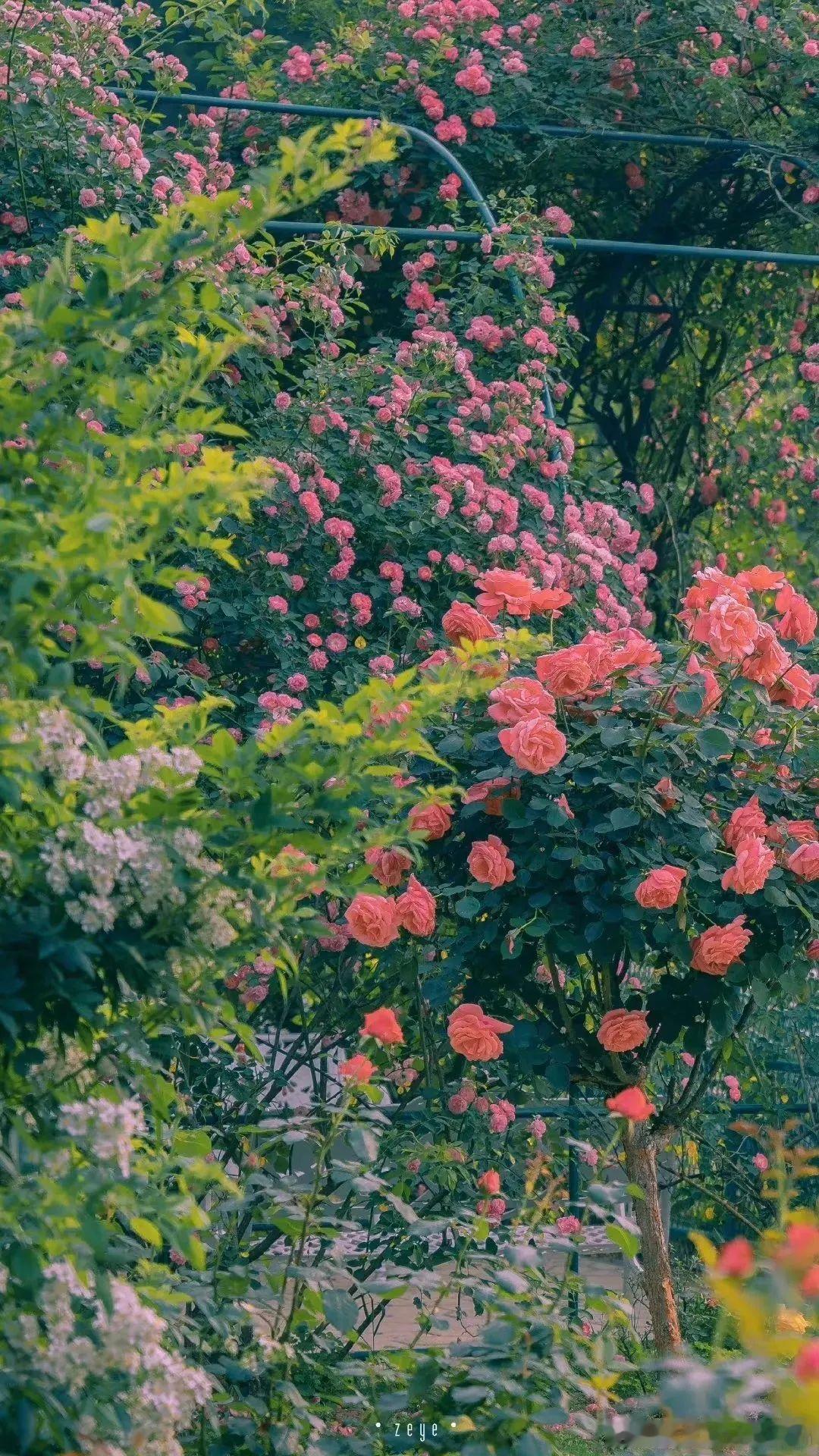 英语[超话] “Slowly become what you want。“The