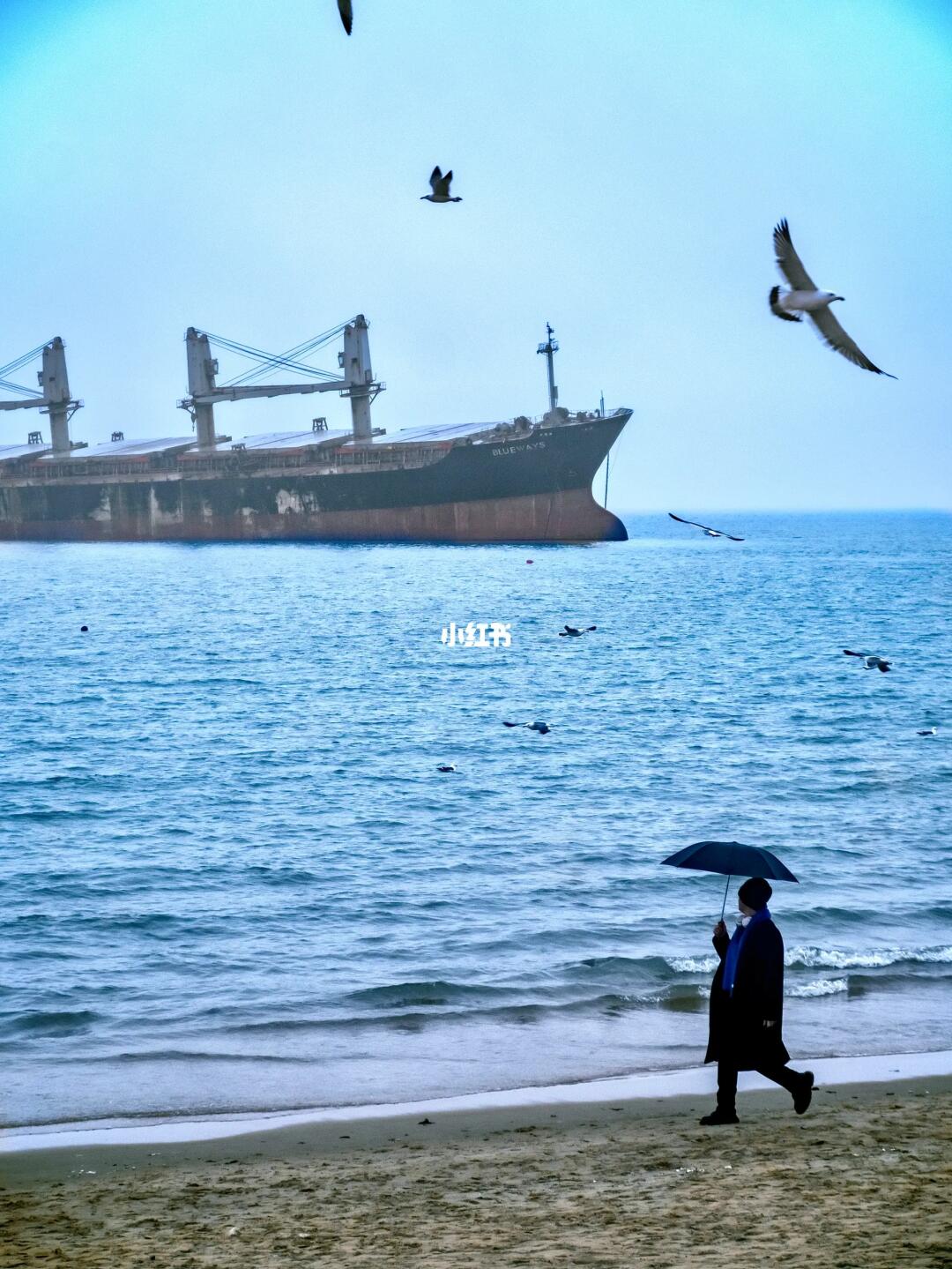 为了这一组照片，我专门飞了一趟威海🌊