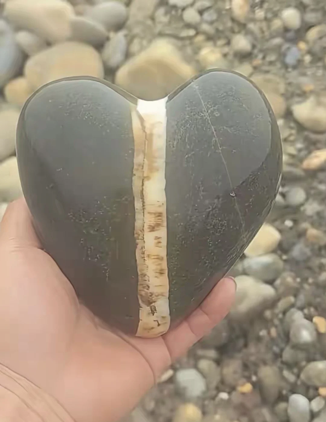 我是见到很多来访，情绪崩溃、反复倾诉，但一碰到“要不要改变”，立刻后撤...