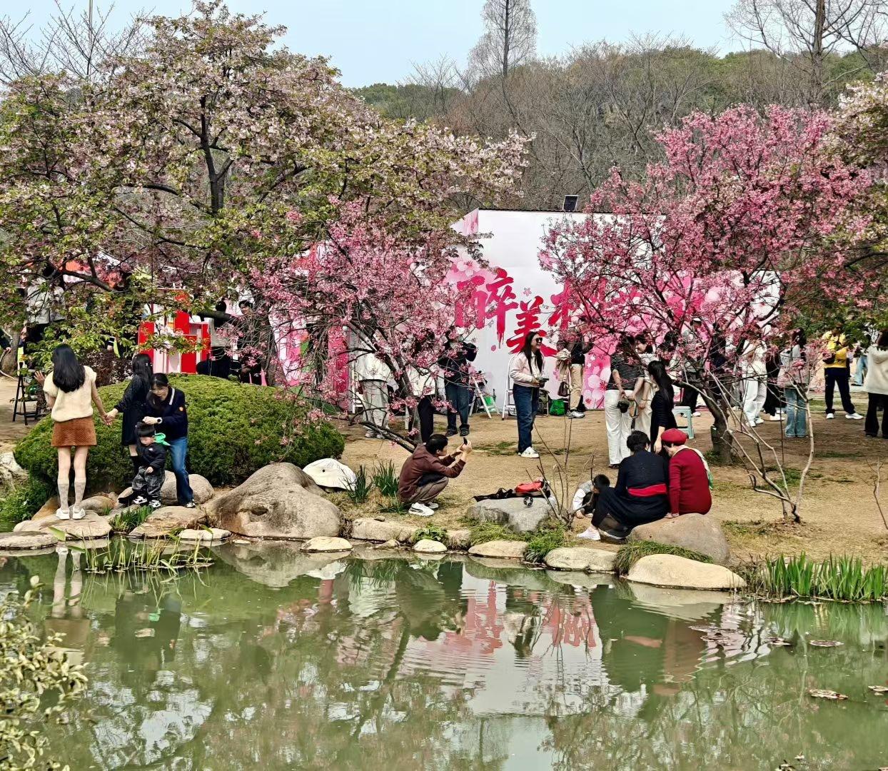 在满树粉黛里，把日子过成诗。