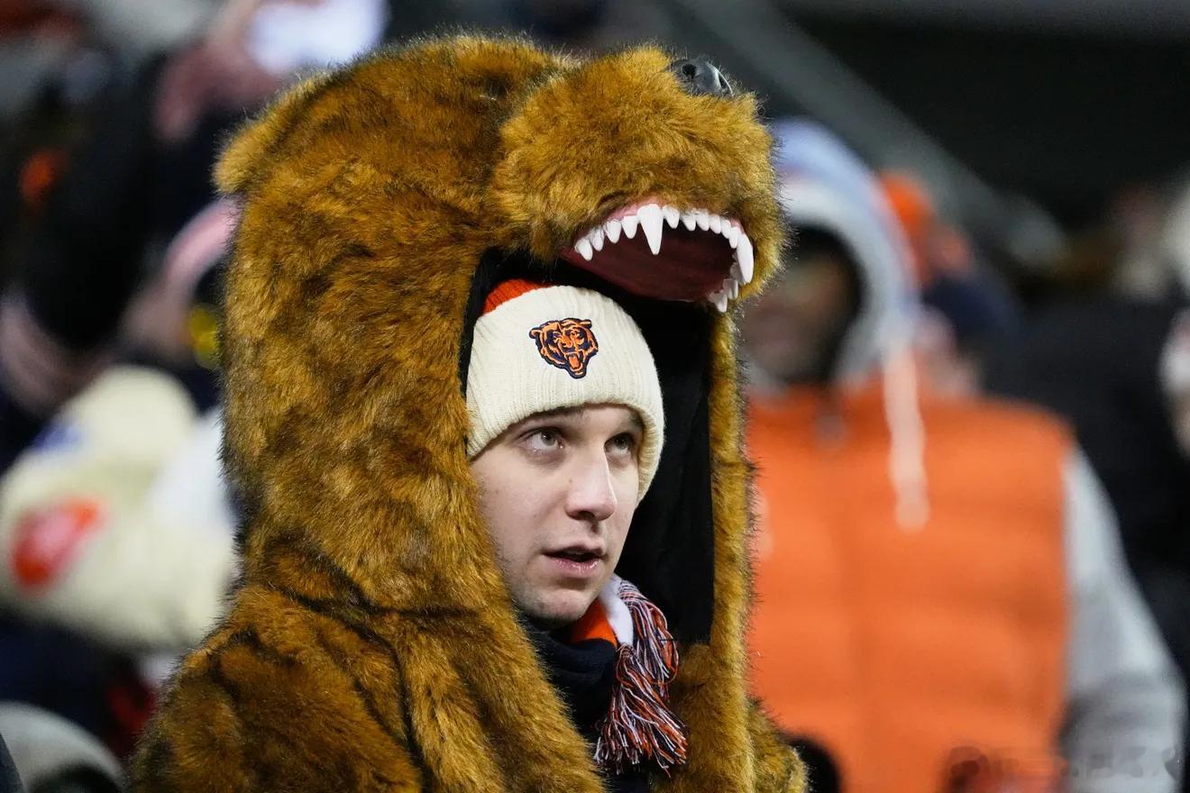 第16周包装工16：22熊 