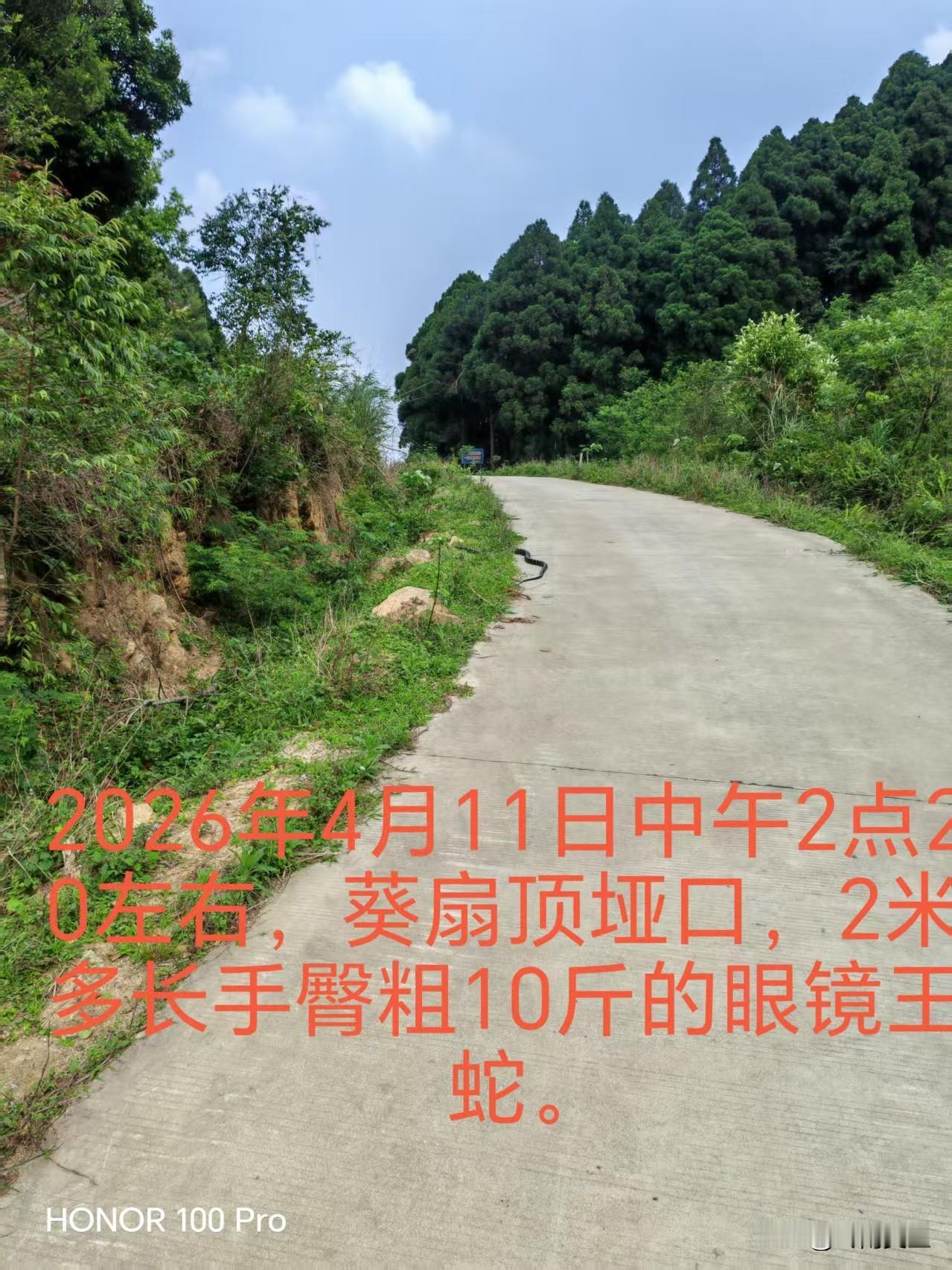 网友的建议还是非常靠谱的，既然眼镜王蛇这么珍贵，国家二级保护动物，那么北上广深每