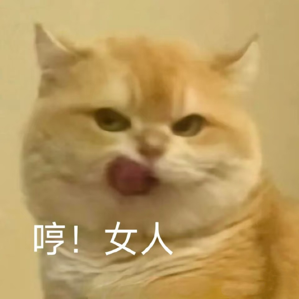 最后半小时、这几件事查漏补缺1️⃣签到和超like都做了吗！！每个浩检查确认一下