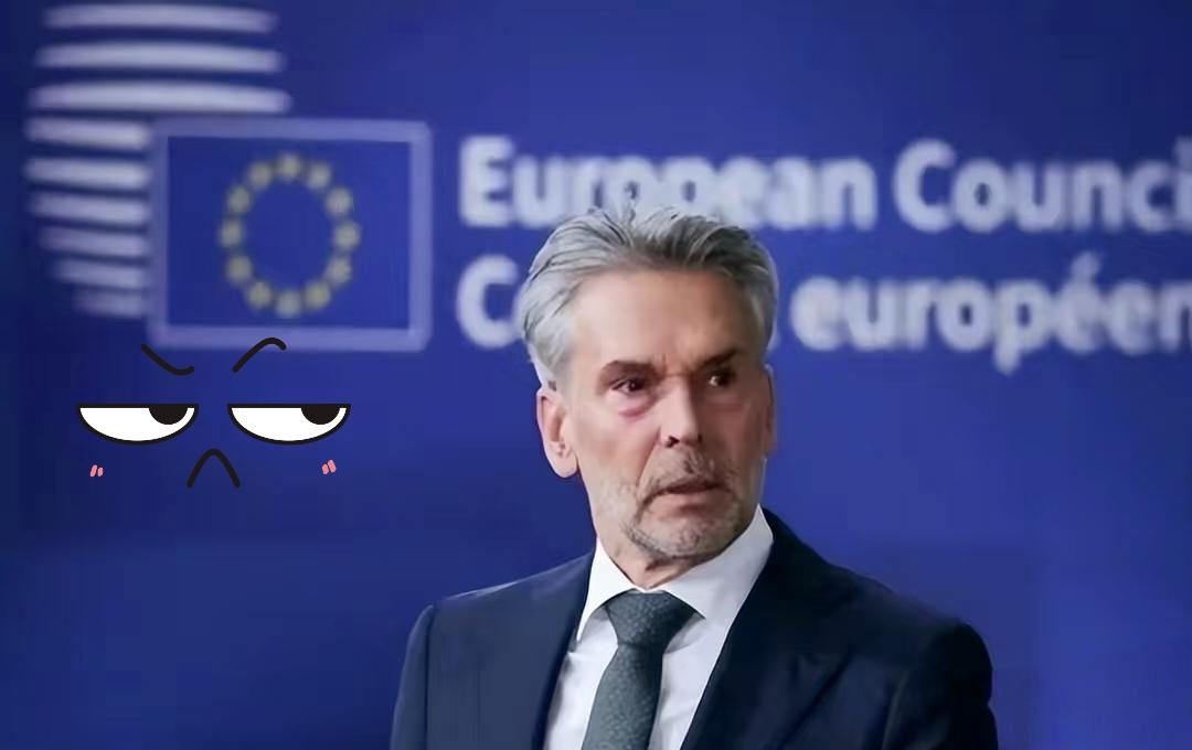 中国“芯”又遭针对
中资控股的安世半导体近期遭遇荷兰方面的不当操作，这场针对中国