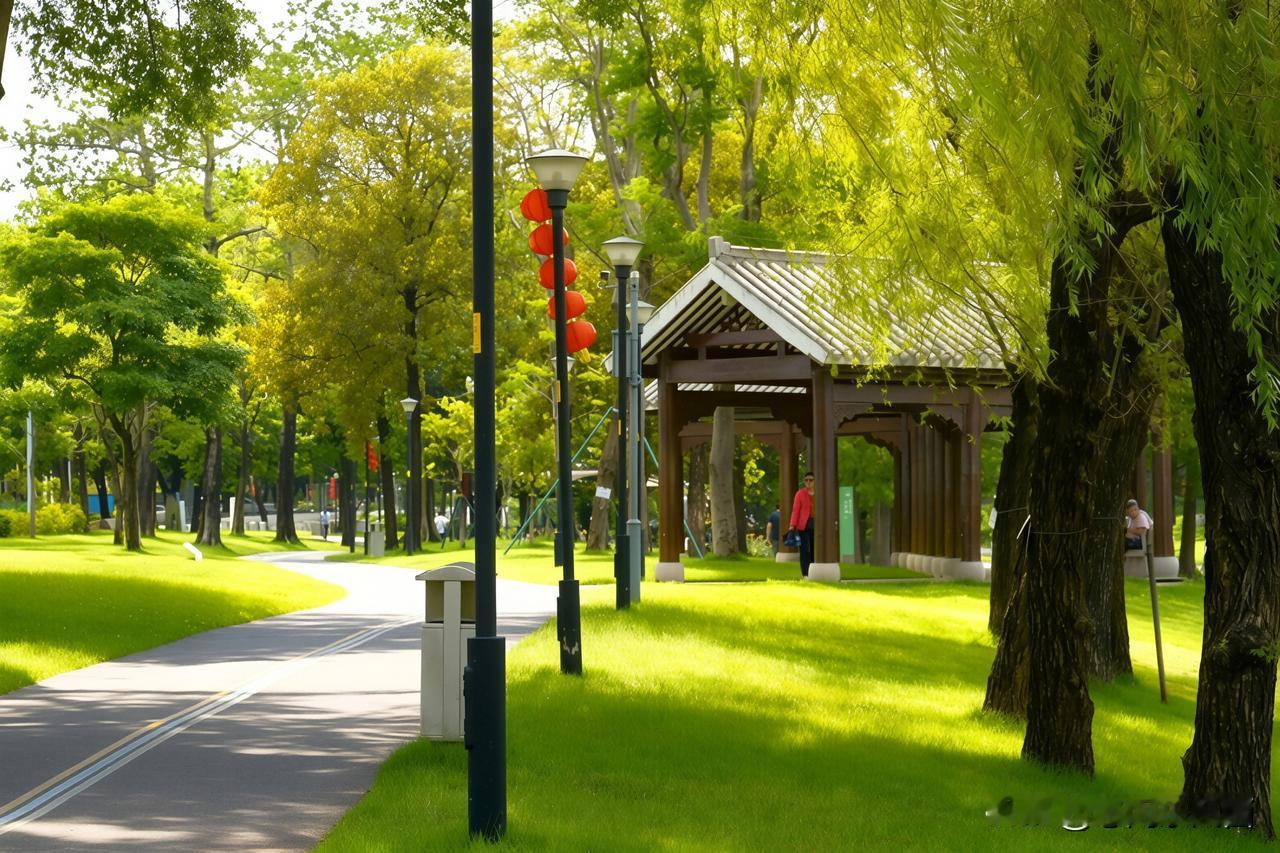 大沙河寻荷，赴一场夏日清欢
 周末寻味顺德返程，顺路踏入大沙河，继续寻觅荷影。晴