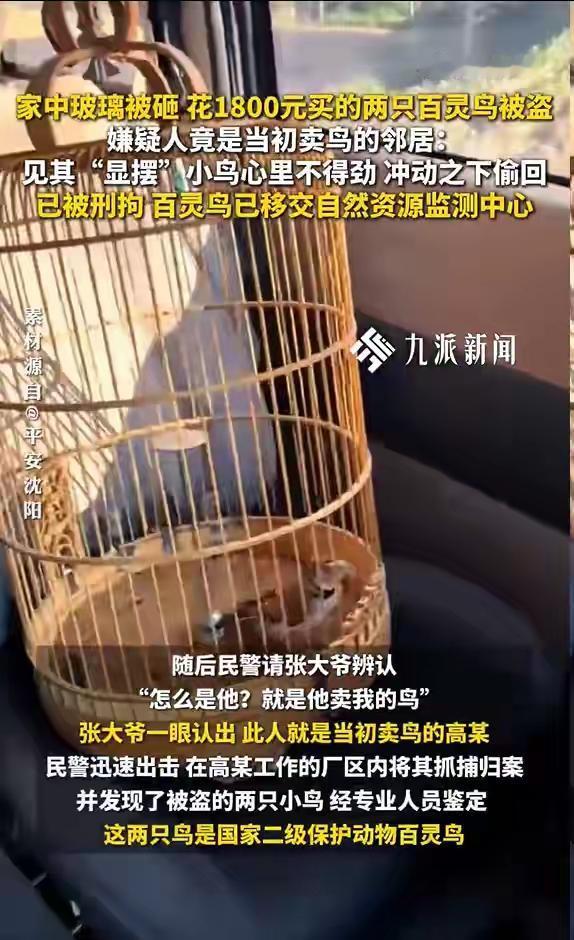 贪念作祟！售鸟男子盗窃自己售出爱鸟
熟人作案防不胜防，谁能料到卖鸟之人，会转头偷
