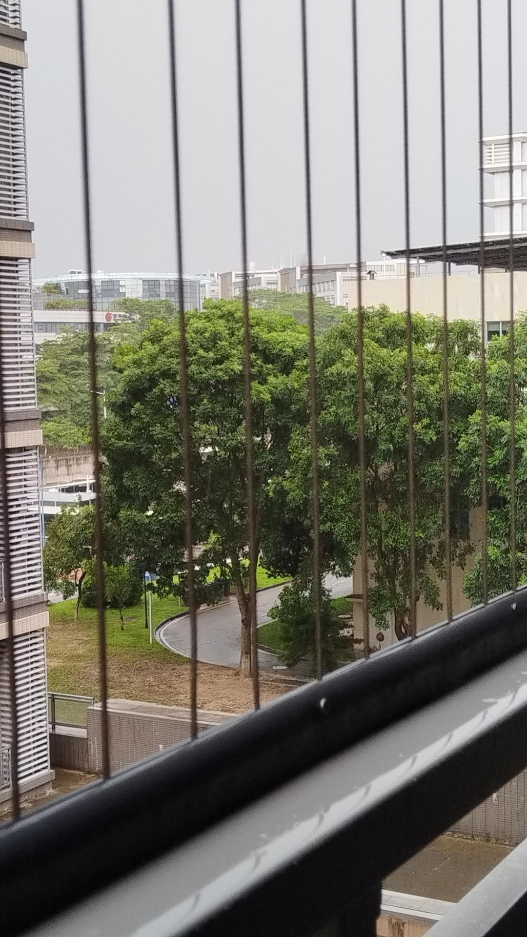 广州今年的夏天确实很凉爽快，
因为一直在下雨，呵～
晚上风扇都不用开，还得盖上薄