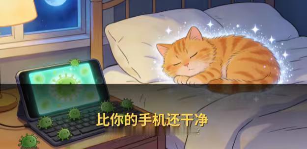 专家说“猫咪上床不脏”？科学养宠人：其实好处真不少！
爱猫的你是不是也纠结过这个