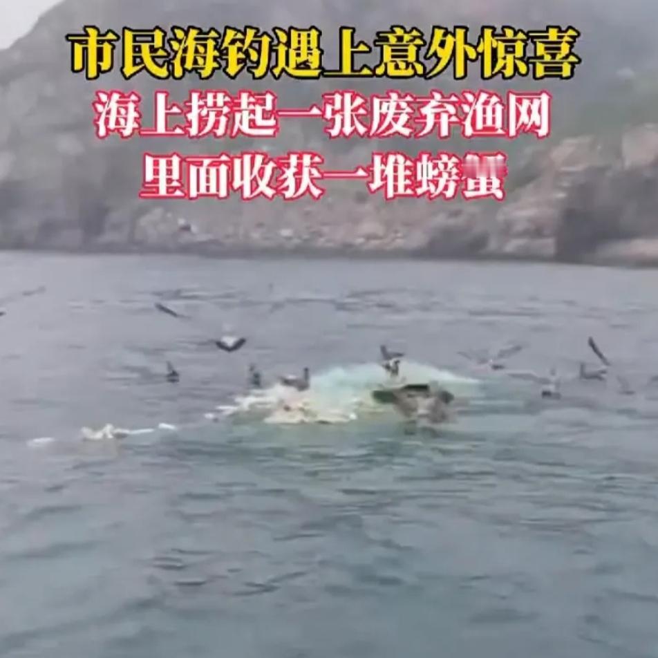 赚大了！山东烟台，男子出船海钓，走到一半就看到海面上有一个废弃渔网，男子上前想着