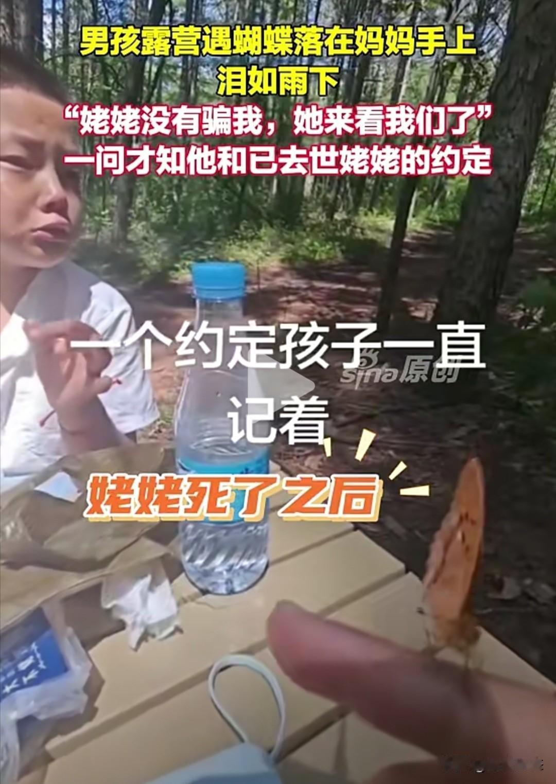 近日，在吉林发生了一件令人感动的事。一个男孩和家人去露营时，一只蝴蝶落在了男孩妈