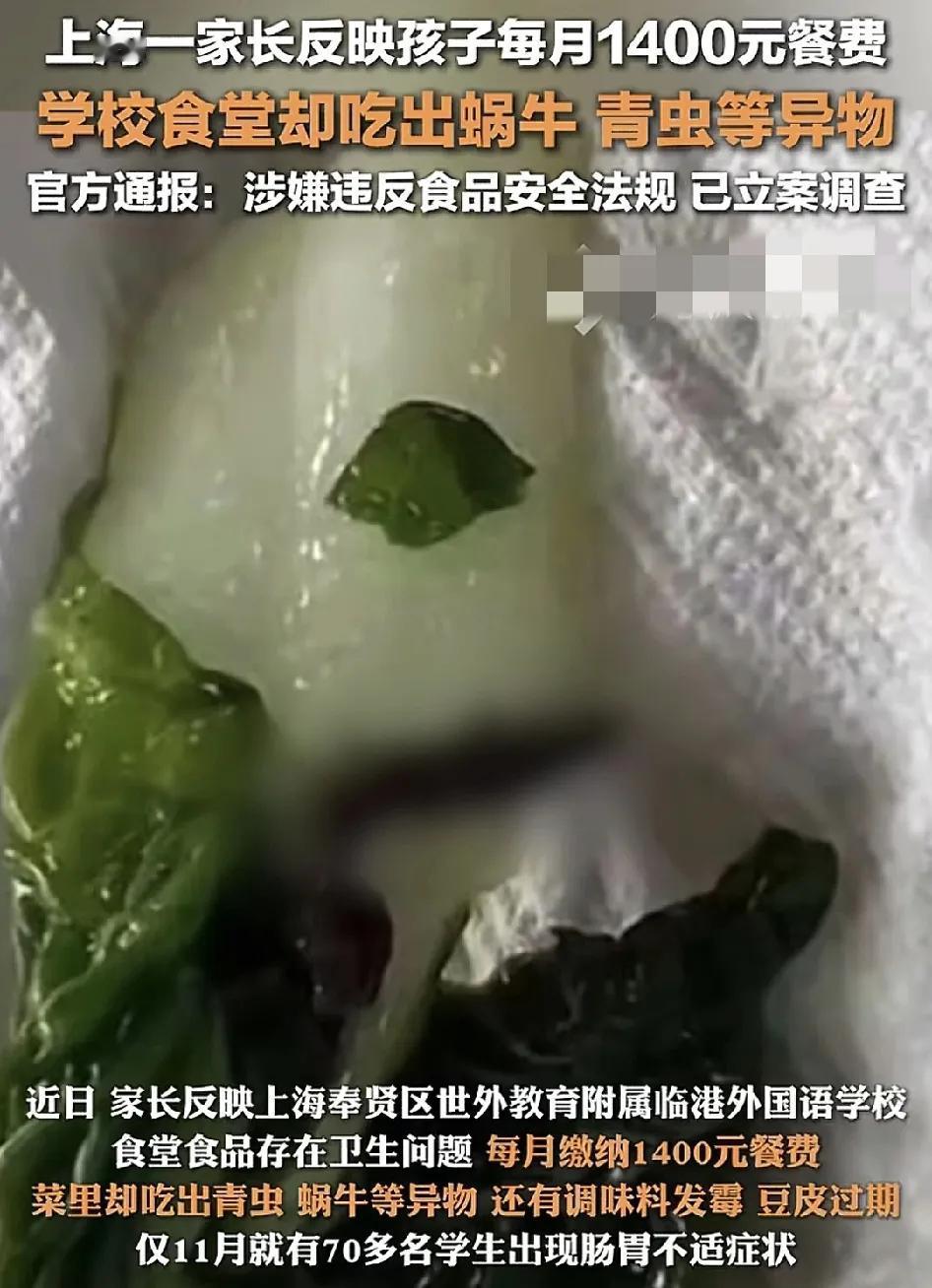 近日，上海一位家长反映孩子所在的学校食堂食品存在着安全问题。菜里吃出了蜗牛、有虫