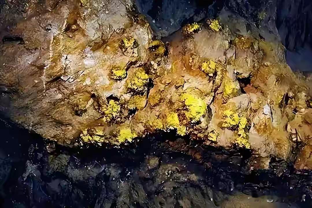 突破芯片封锁后，中国在海底挖出“第二国库
当全球还在为芯片战争的硝烟惊叹时，中国