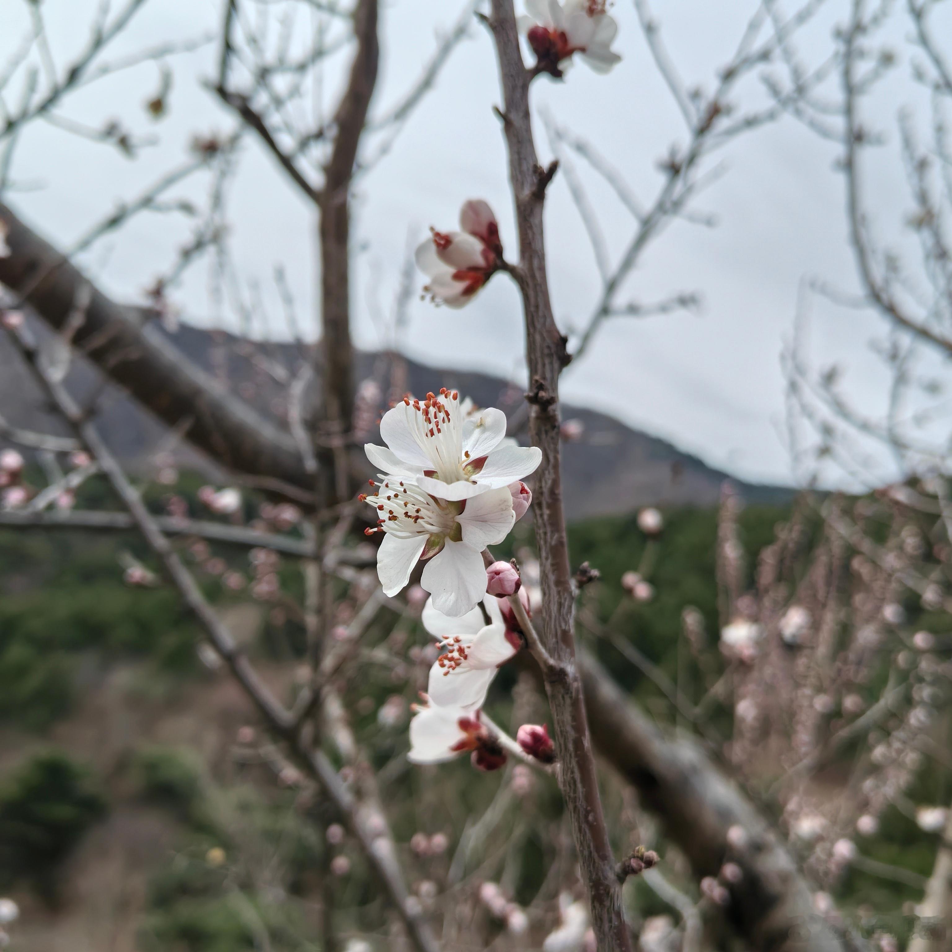 父母那代人，把爱全藏进了“口是心非”里上个月本来想趁着周末回趟老家，给我爸打电话