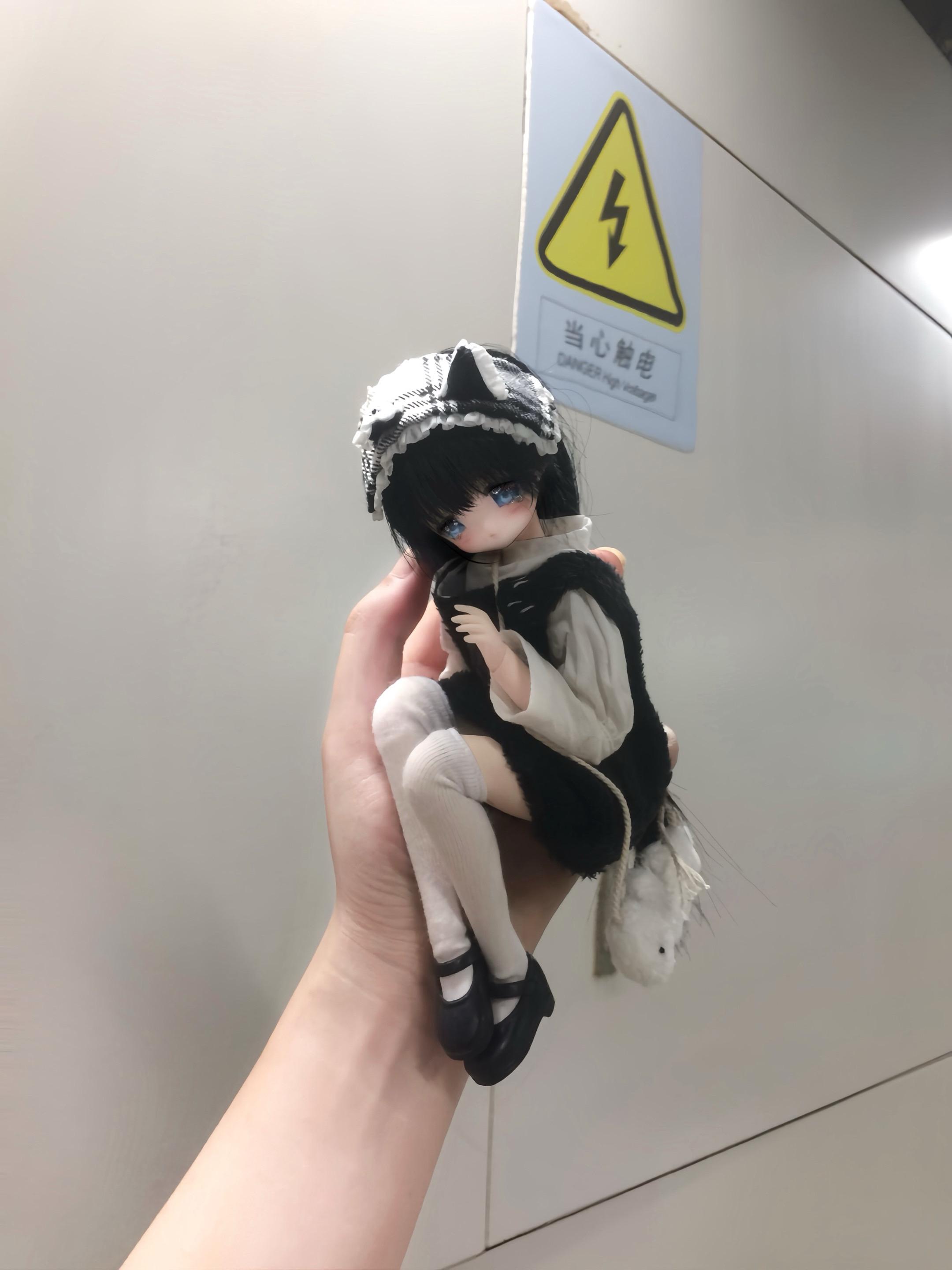 小猫陪伴。