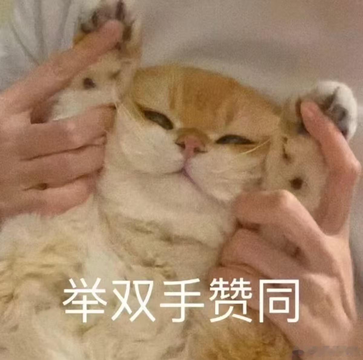 最适合打工人的比赛出现了 终于有比赛不卷业绩卷饭量了！吃真饼拿奖金，打工人表示：