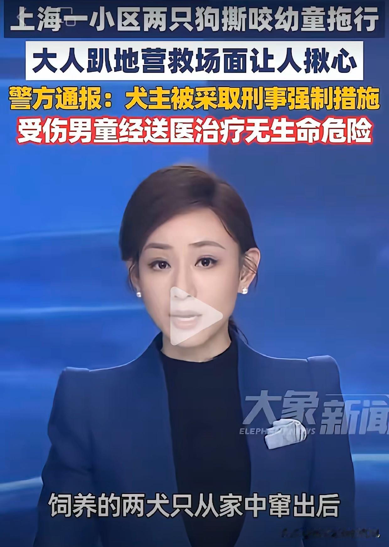 在三大直辖市发生的这三件事，联系在一起看，我至今看不明白！
1，北京发生毒狗案，