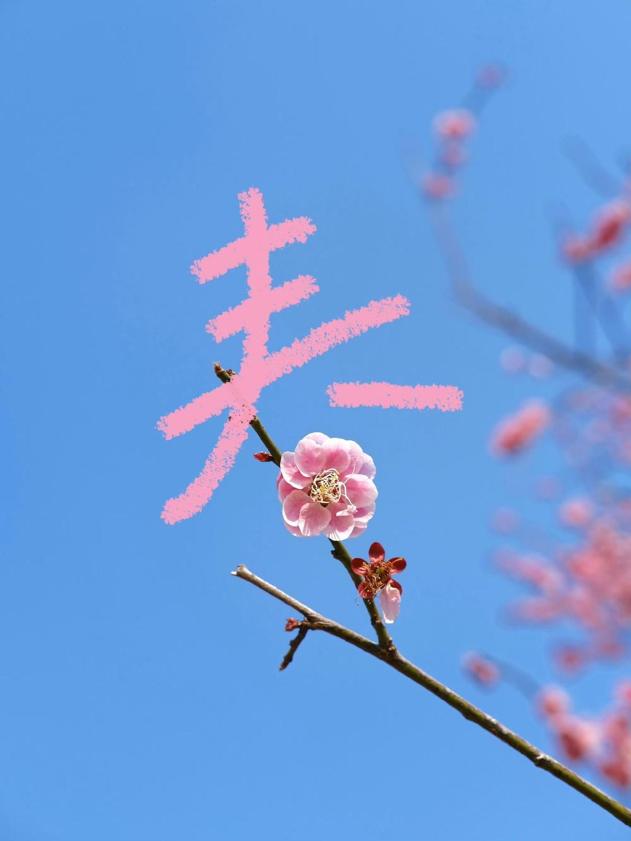 🌵𝑺𝒑𝒓𝒊𝒏𝒈 ✿ ᵕ̈🍃
是日常，是烟火，
是生动的小生活🤗