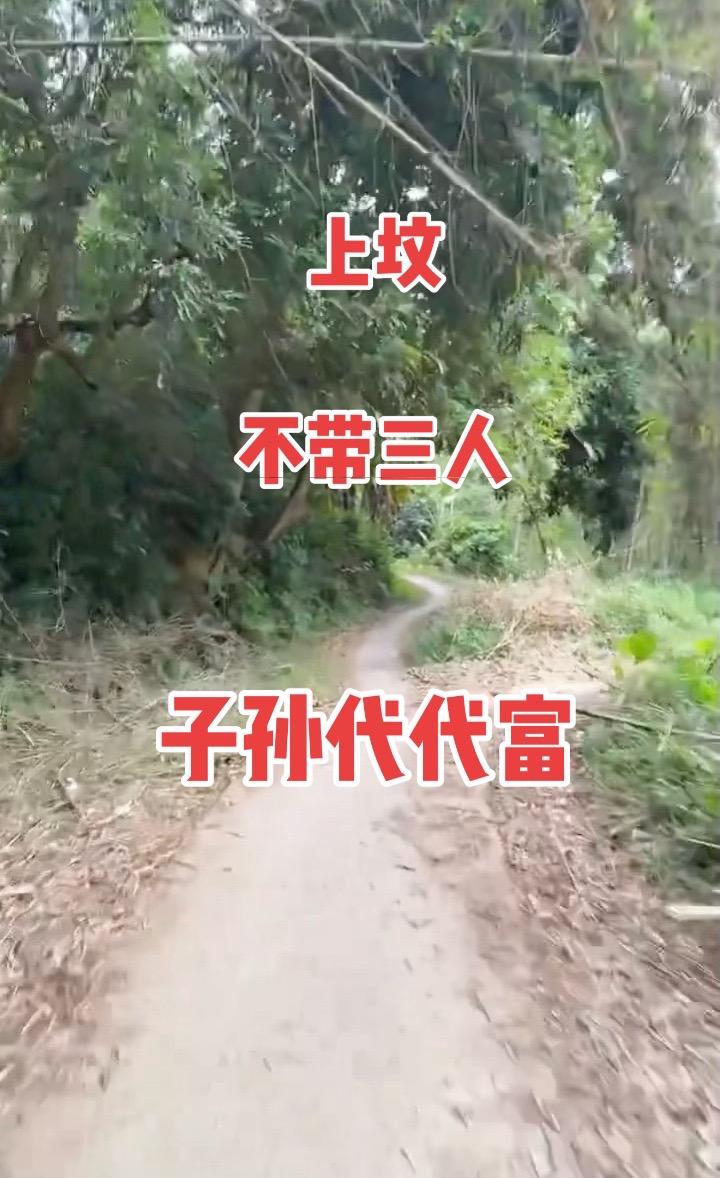 大山里的原生态 抖出你的家乡美景 寻找农村美景古迹 户外自然探险发现 ...