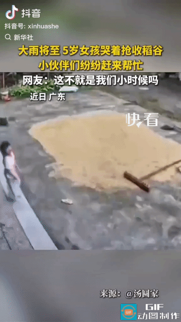 “上新华社了!”广东，大雨将至，院里晒着稻谷，大人又不在家，5岁女孩急得大哭，一