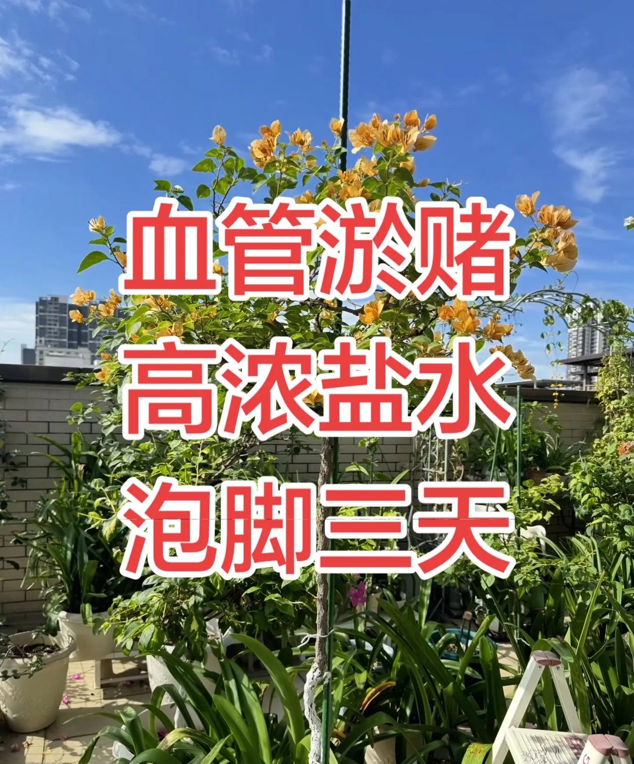 2026斯诺克世锦赛决赛，吴宜泽18:17双赛点绝杀肖恩。墨菲，夺得冠军！