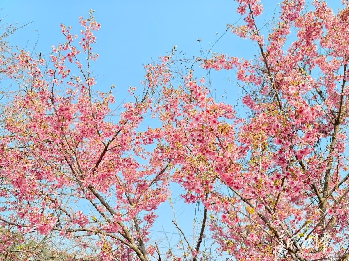 读《近思录》之2.111　

学者大不宜志小气轻。志小则易足，易足则无由进；气轻