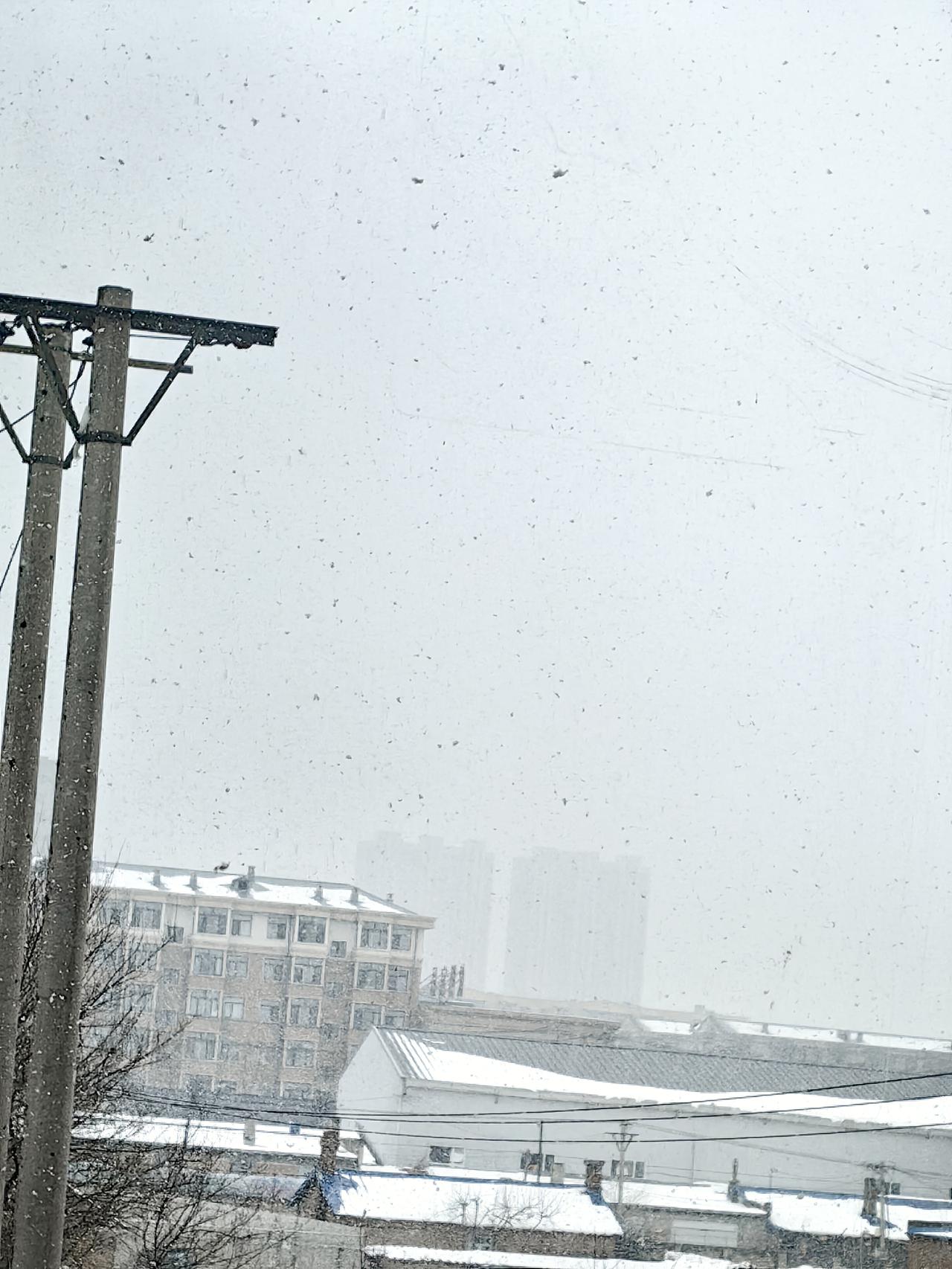 晒图笔记大赛望奎开春失败，再回到冬天。