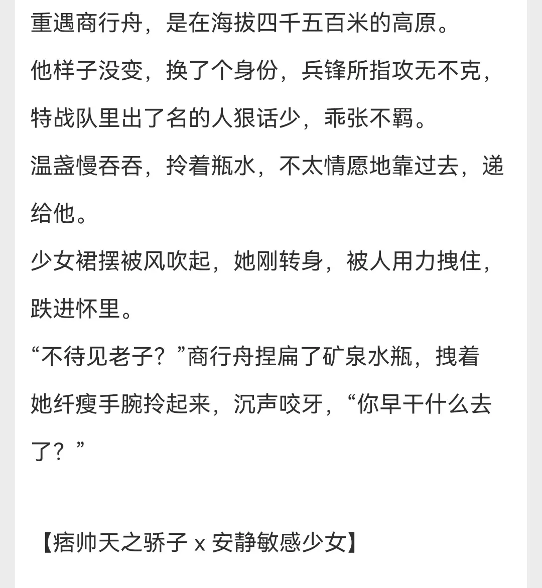 每日小说小说
