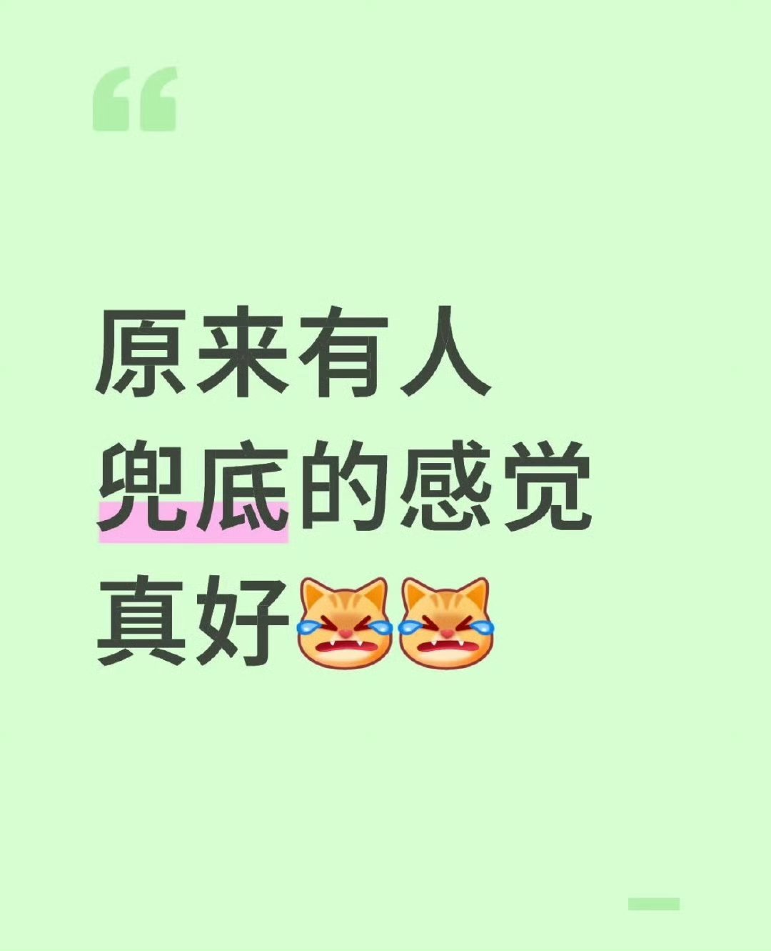 原来有人兜底的感觉真好 