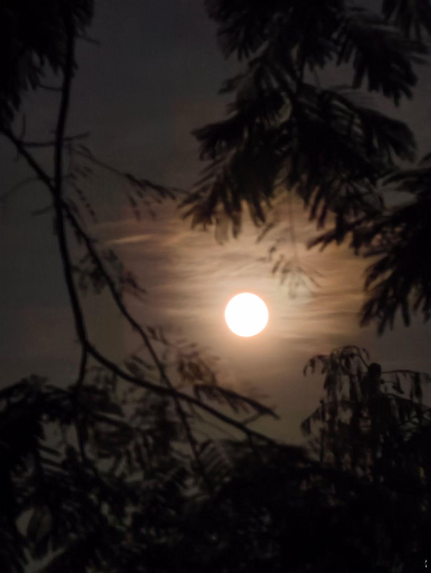 超级月亮XXXL超级月亮千铁计划[超话] 月亮慢慢变圆，事事慢慢如愿[鲜花][给