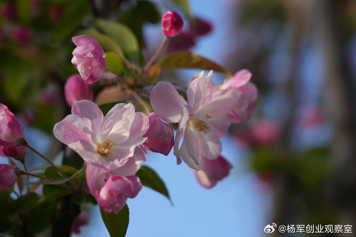 【衰退期股权：低谷时的“救命索”与“强心剂”】企业发展皆有周期，衰退与低谷是必经