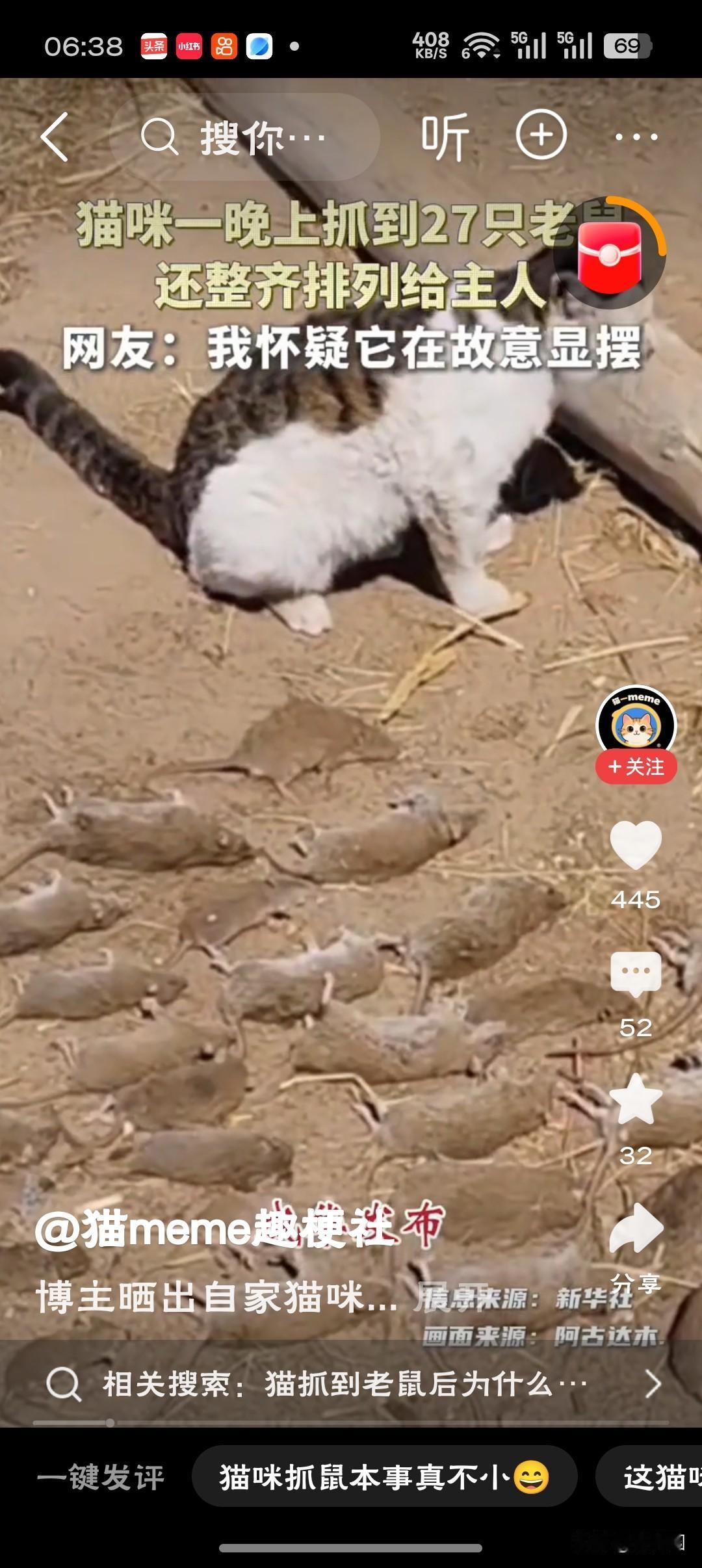 猫咪一晚抓27只老鼠整齐摆身旁邀功这猫子怕不是个军事迷，抓鼠都排成方队了，这是要