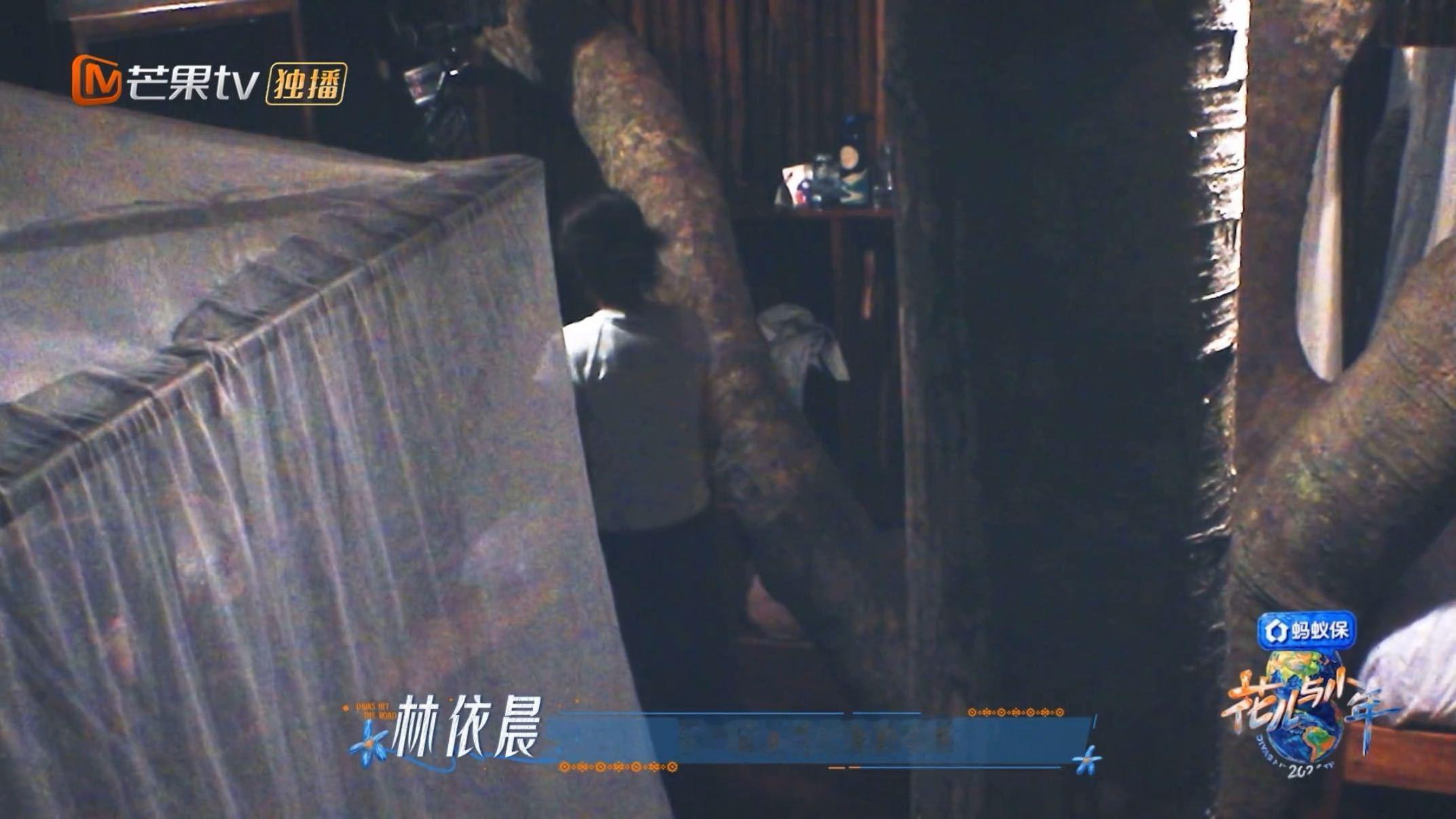 林依晨有了孩子后更期待独处时间花儿与少年 花儿与少年里林依晨聊到，之前一个人住不