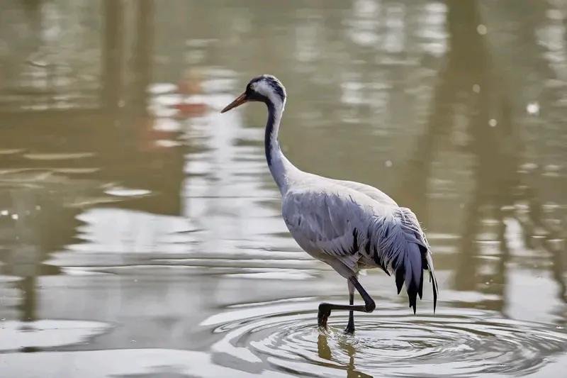 香港资深演员冯淬帆去世少年时熟悉的演员，一个一个驾鹤西去。知道人生路很长，但其实