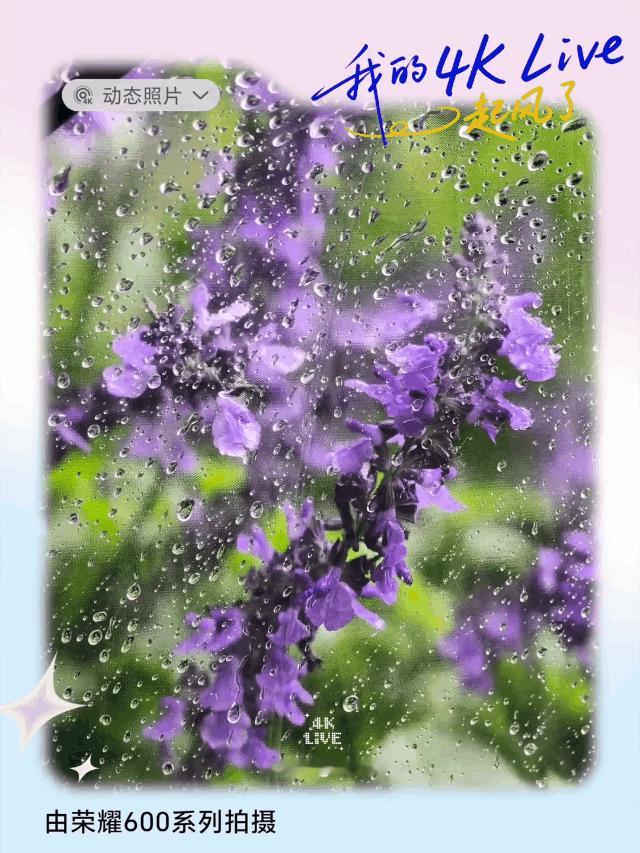 淅沥夏雨落满街巷，小伙伴们如何才能够将精彩的瞬间捕捉下来？随手拍只能定格固定的画