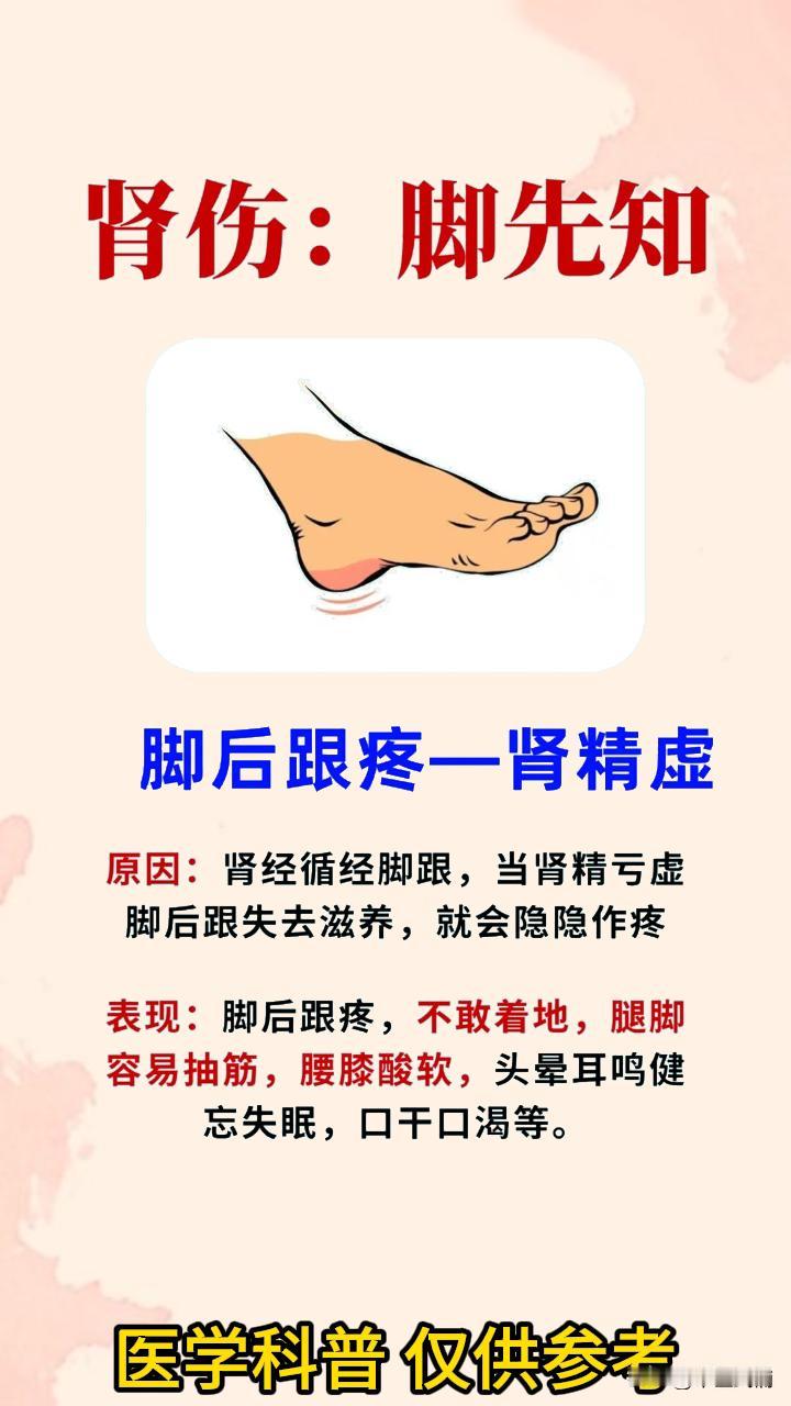 脚后跟疼，腿脚凉，双腿无力都是哪的问题？