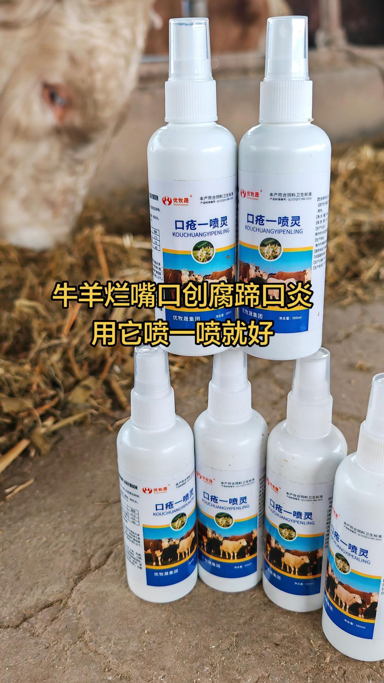 养羊人 农村养羊