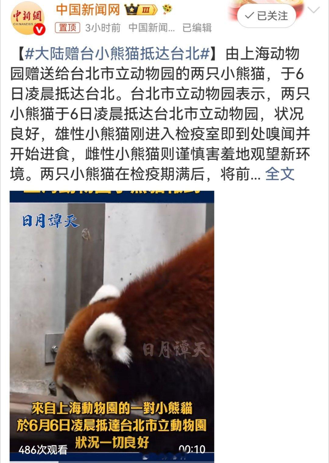 大陆赠台小熊猫抵达台北看清楚了，是“小熊猫”，不是大熊猫幼崽！目前两岸这关系，不