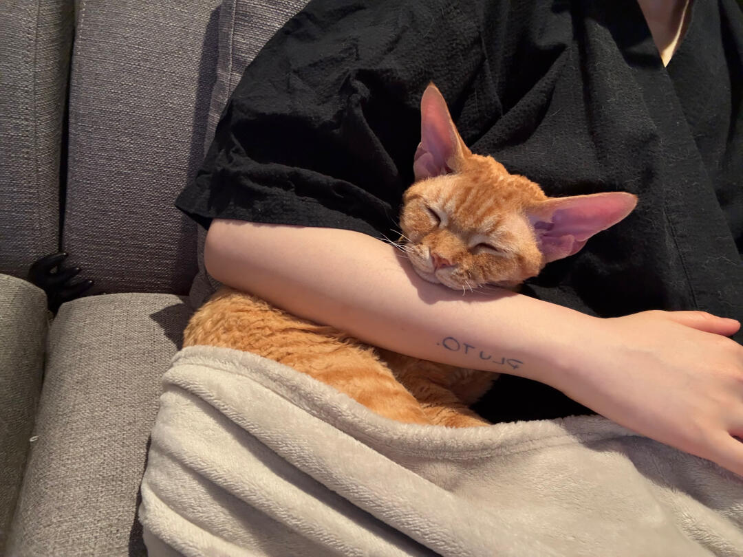 一直都是捧着长大的小孩