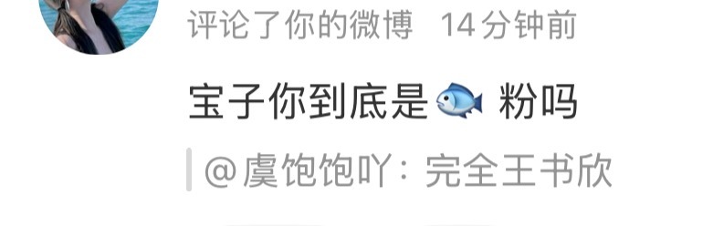 pph网页链接