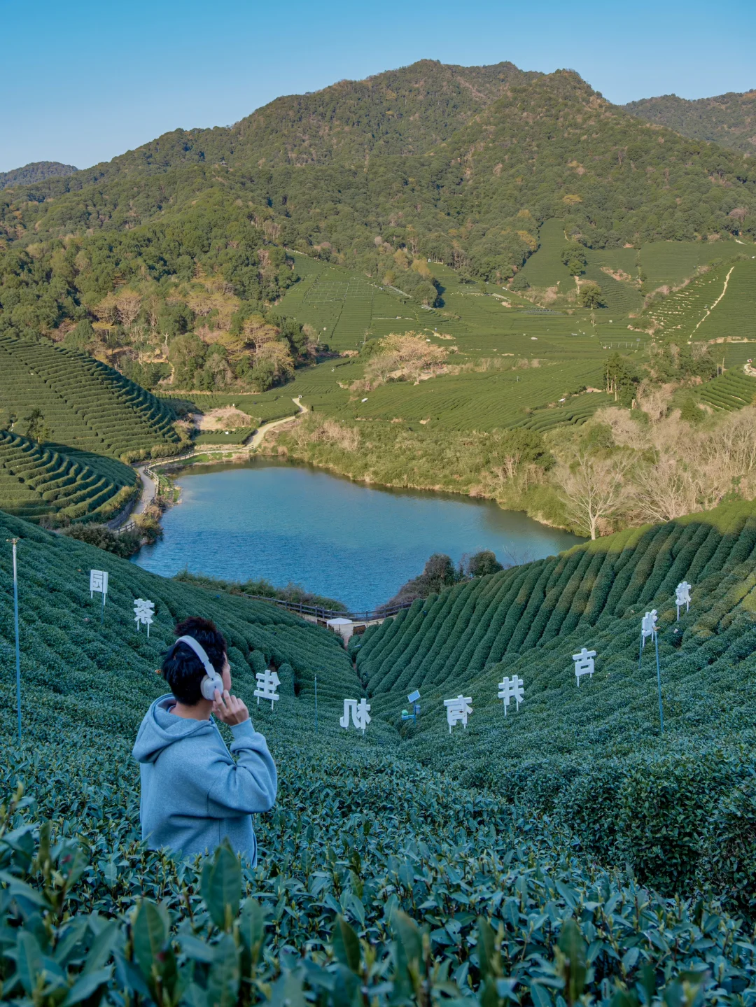 春天的杭州我走过zui惬意的路🍃就在这儿‼