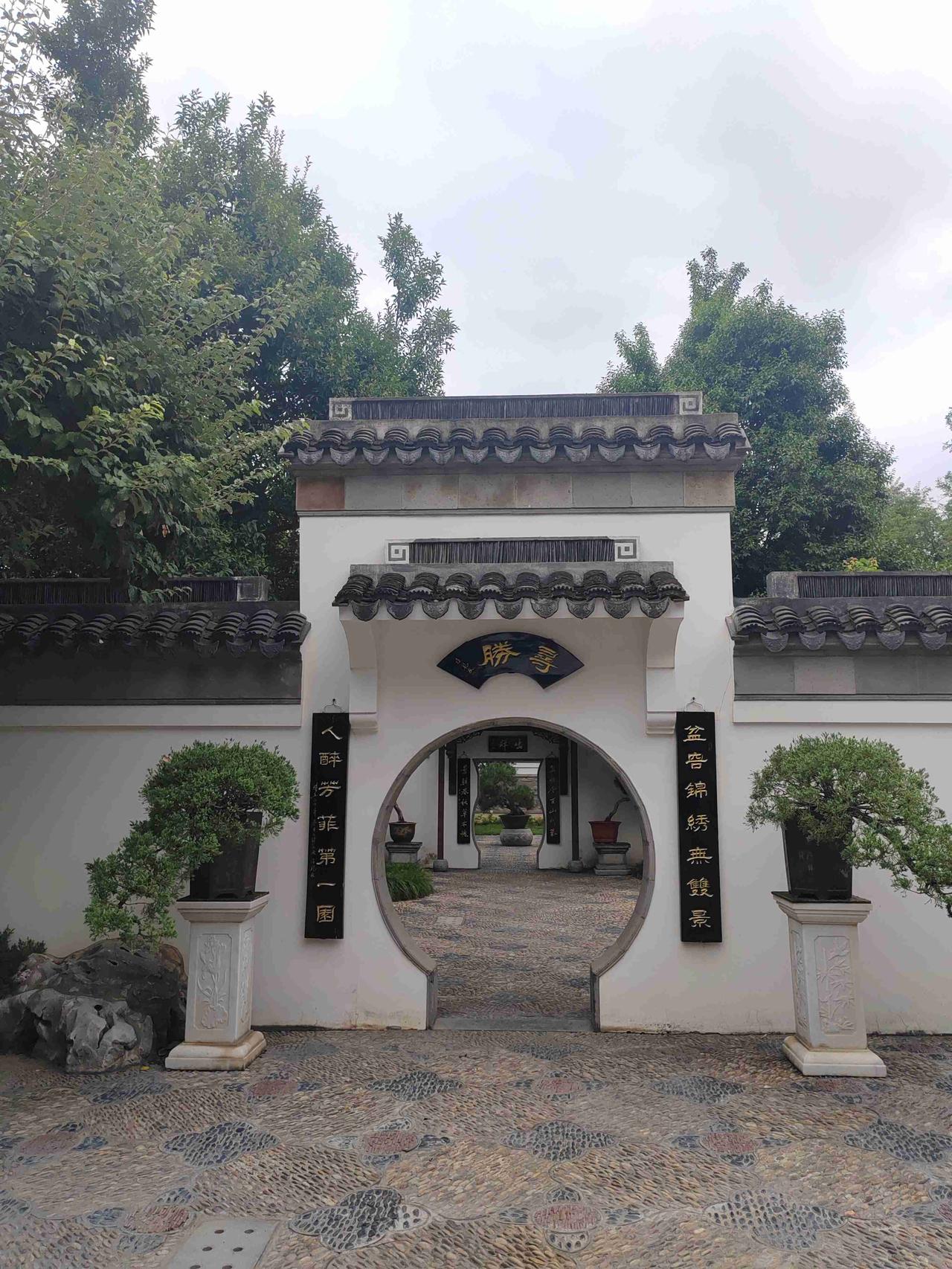 多云天气，不是很热，适合出去逛逛，那就继续去市区植物园转转。走进植物园，满眼皆是