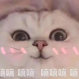 越泽热聚音乐