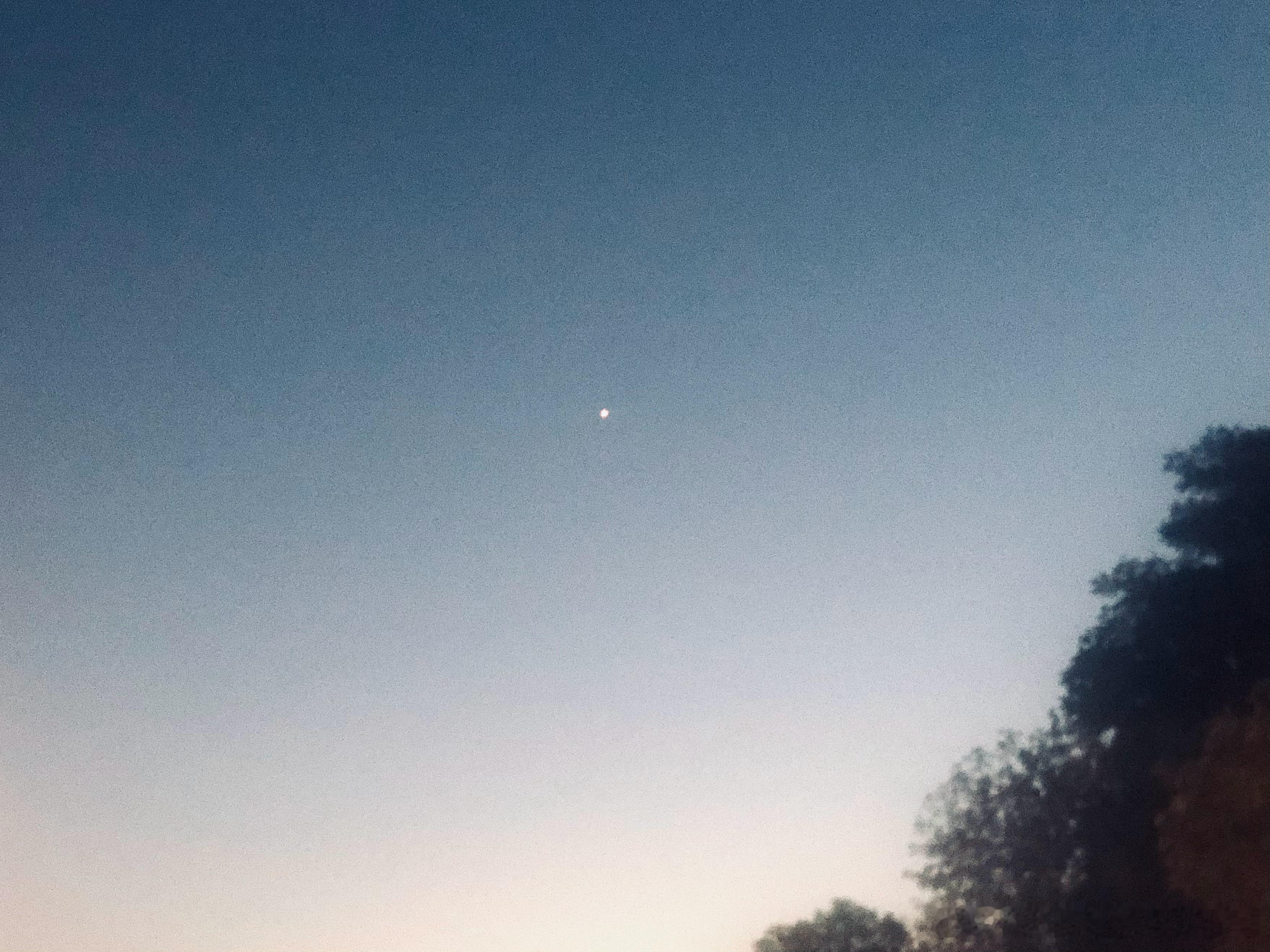 发两张没有时效性的照片 